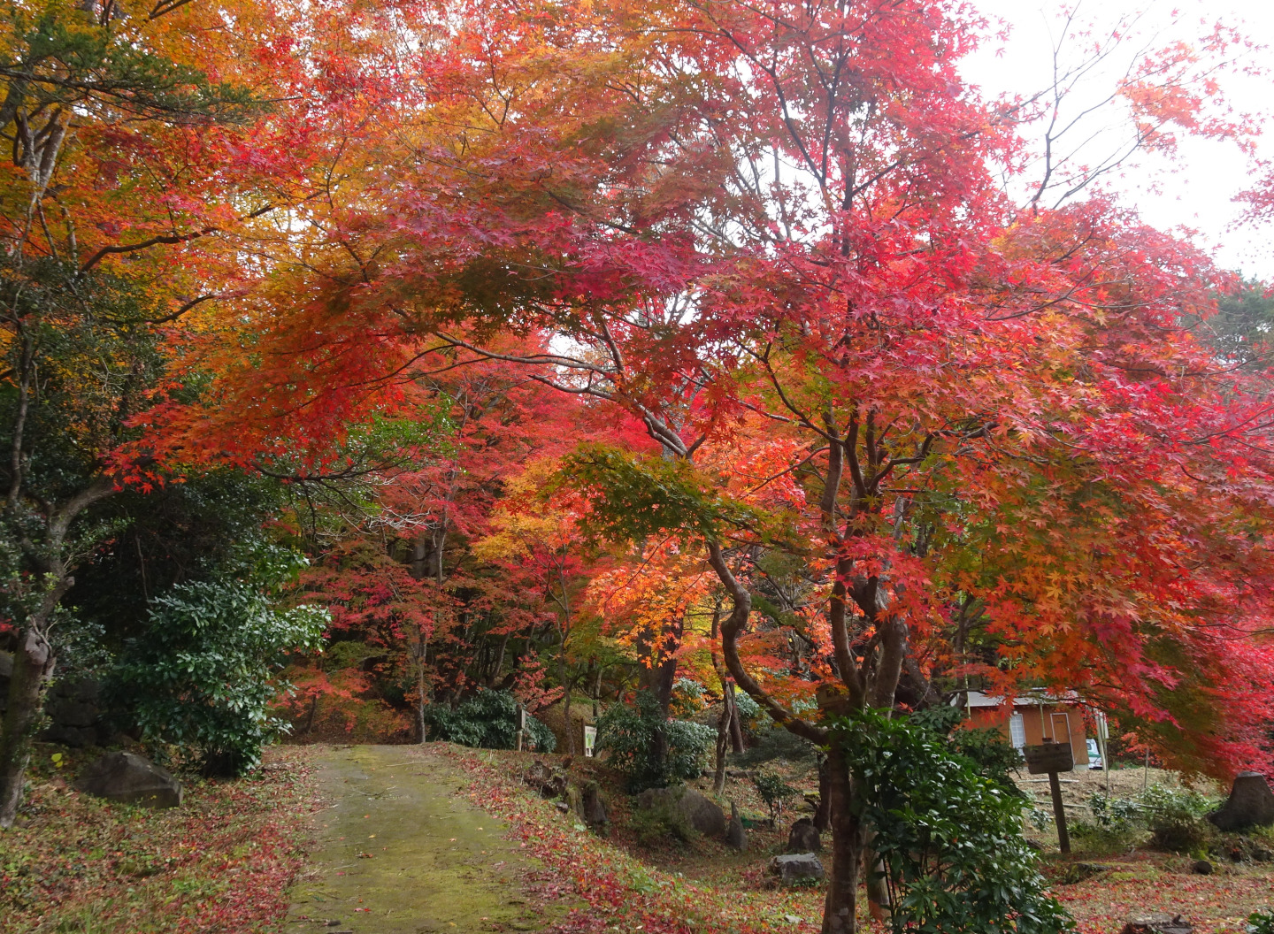 あぶくまロマンチック街道を巡る日帰り旅!福島縦断ドライブモデルコース
