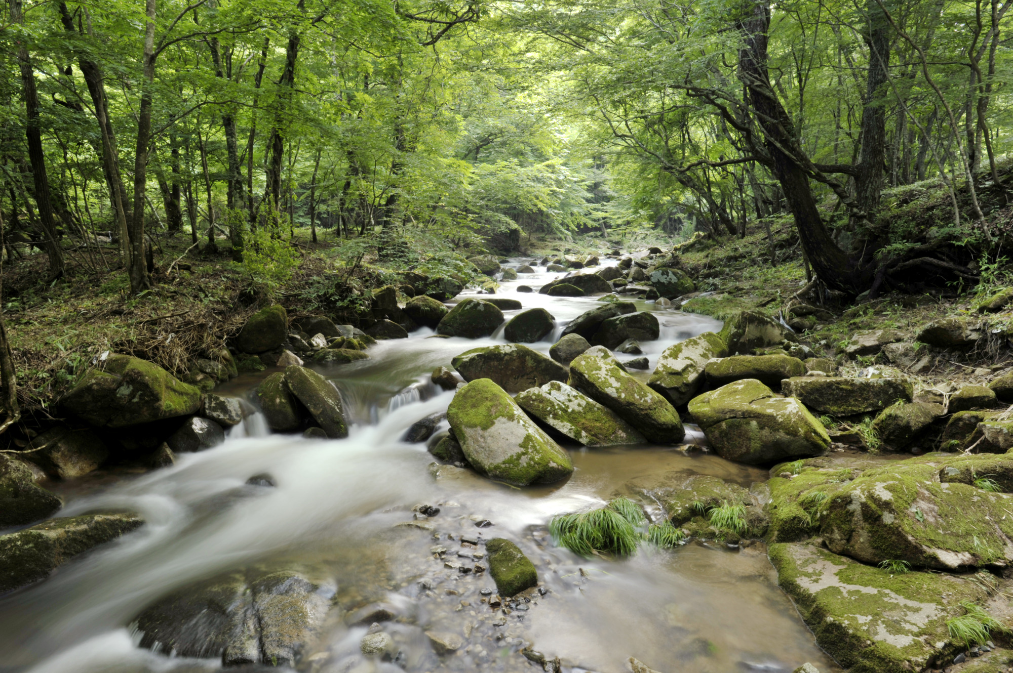 水音まで澄む、葛尾の清流 高瀬川渓谷