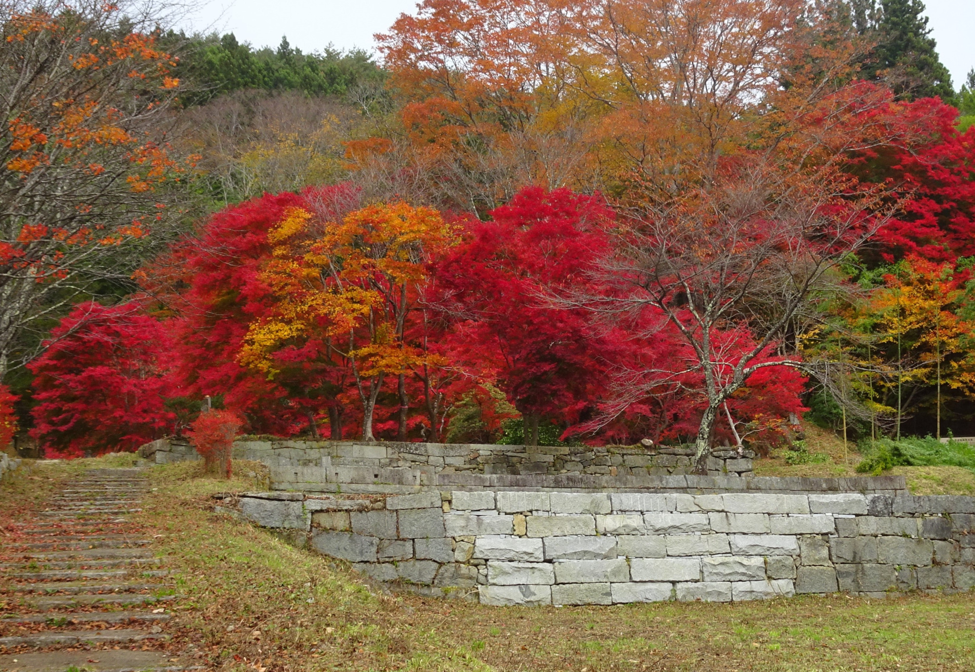 松本一族が歴史を紡いだ葛尾大尽屋敷跡公園