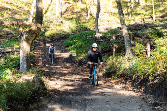 大自然を満喫!アクティビティまとめ