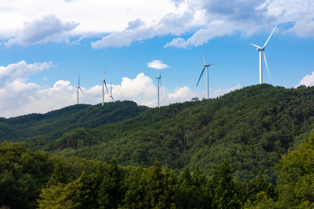 映像の臨場感!動画ライブラリー